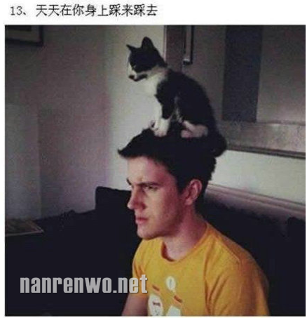 养猫的人才会知道喵星人的可爱~ 
