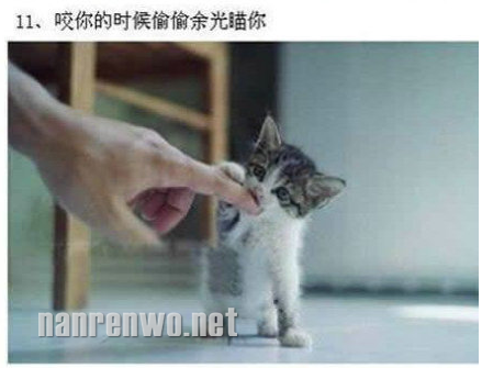 养猫的人才会知道喵星人的可爱~ 