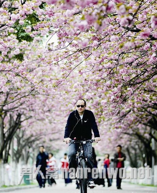 樱花大道