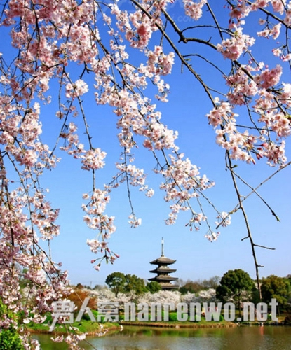 东湖磨山