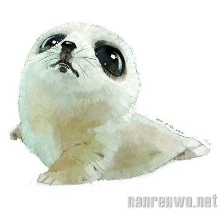 插画家笔下的超萌小动物 