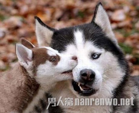妈妈，来亲一个吧