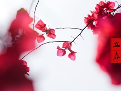 ����ʱ�������Ͷ�ʮ�Ľ���