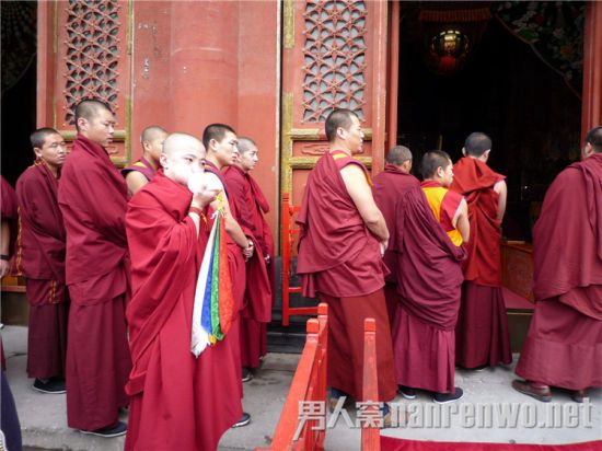 排队学习的喇嘛