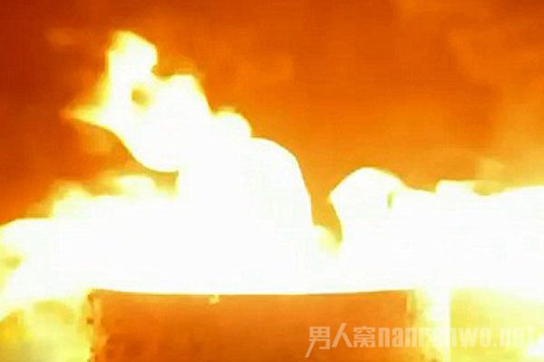 主持人当场焚烧了5000美元现金 主持人当场焚烧了5000美元现金