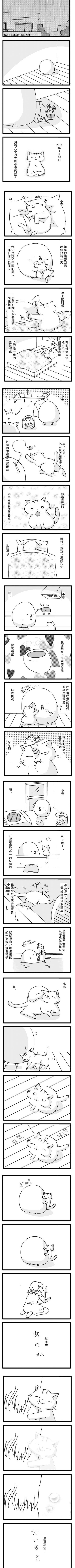 一只猫咪的故事