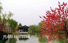 烟花扬州