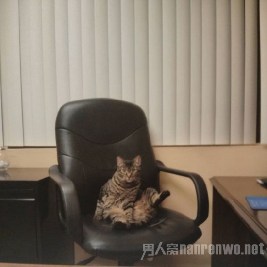 老板姿势呀 老板姿势呀