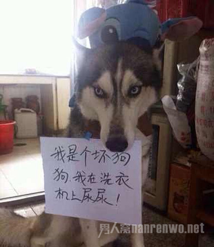 ķʡ