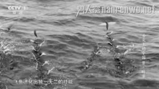 《舌尖2》中的镜头