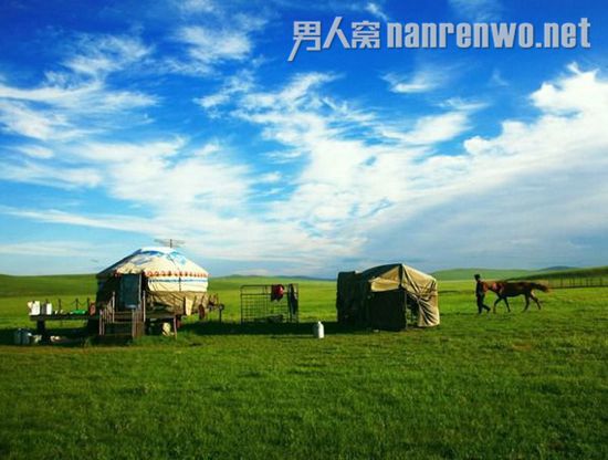 呼伦贝尔东部草原