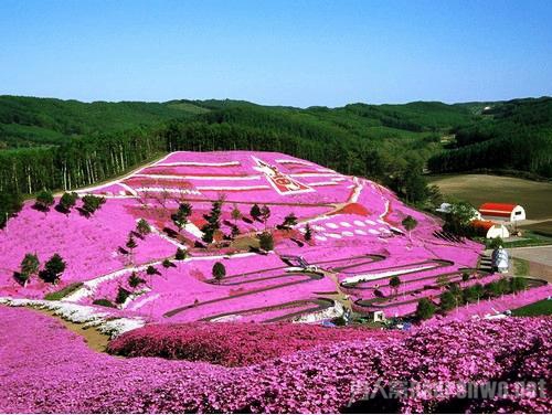 邂逅日本的4大浪漫情境 