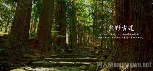 邂逅日本的4大浪漫情境 