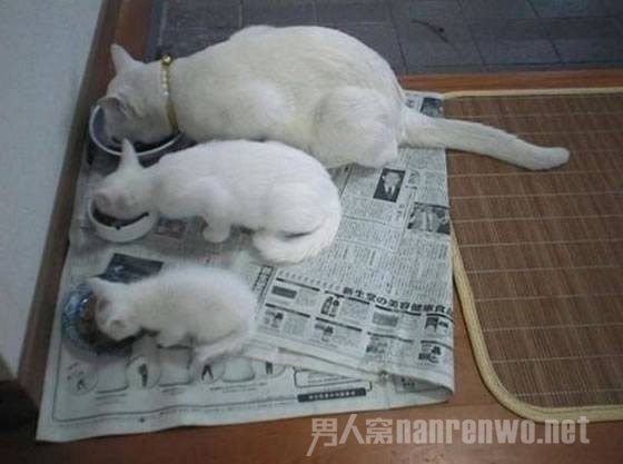 排排坐，吃果果