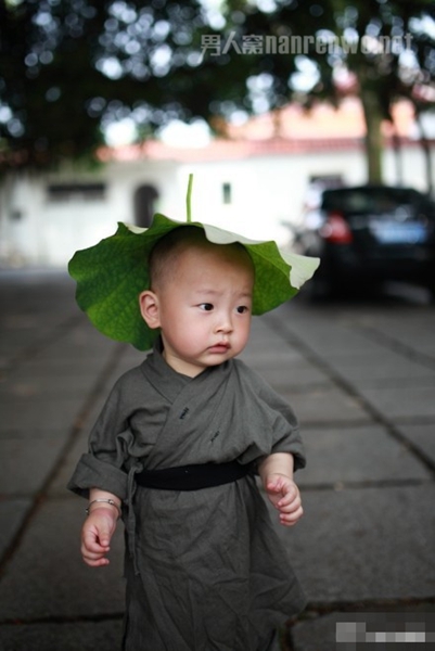 荷叶做帽子