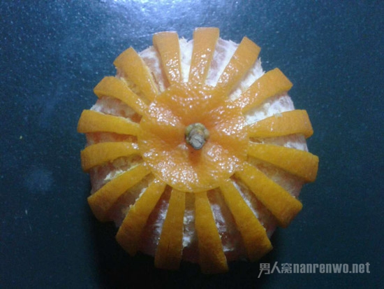 败落的菊花