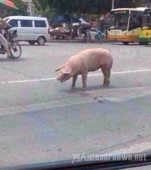 Խ籬