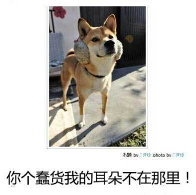 我的耳朵不在那里