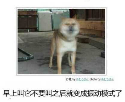 震动模式