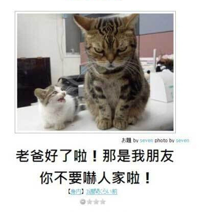 粑粑，别介样