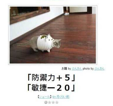 为了加点防御力