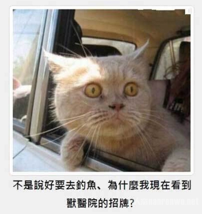 吓尿的表情