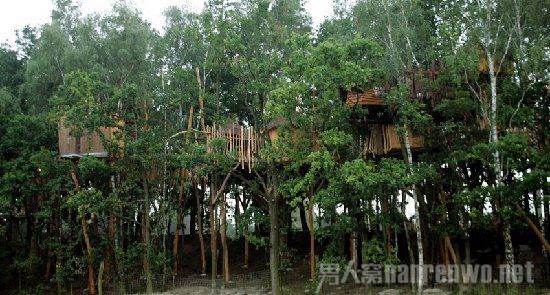 德国树屋旅馆