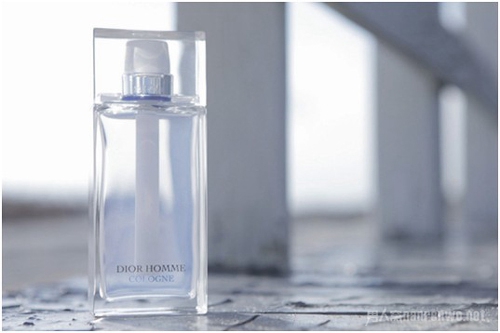 DIOR HOMME
