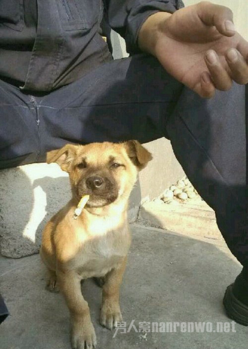 ʲôʲôĹ