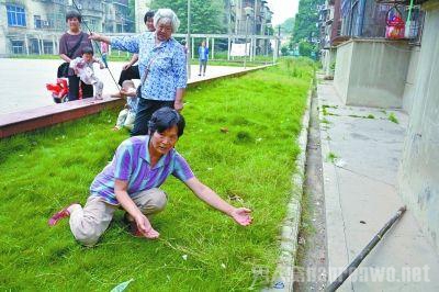 65岁老人狂奔接住坠楼男童