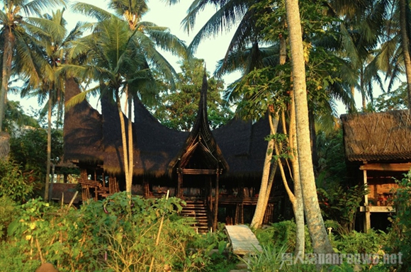Ubud hotel