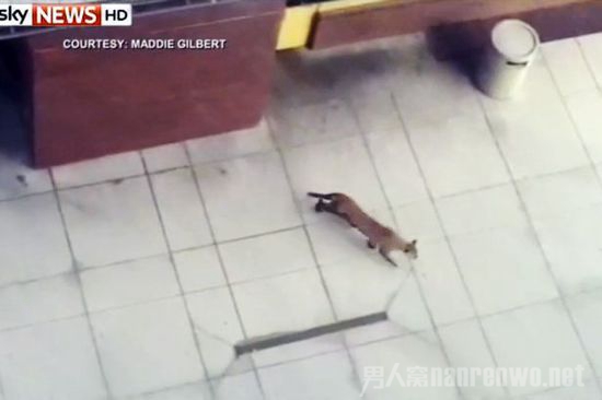 监控画面