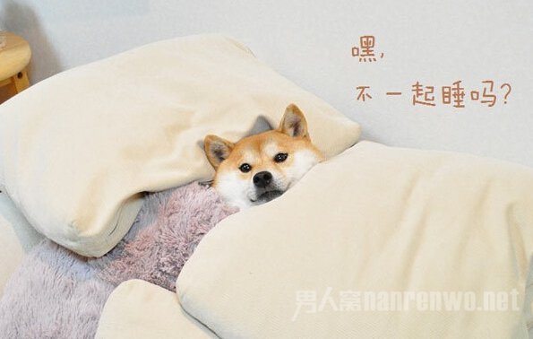 求勾引