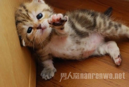 拉我起来 人家起不来了
