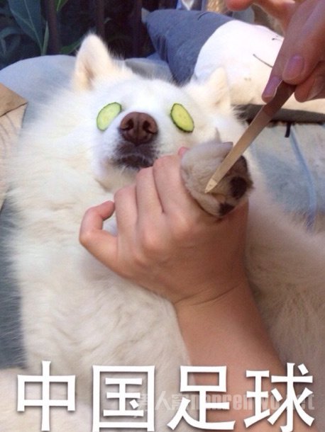ȮCosplay籭ǿ