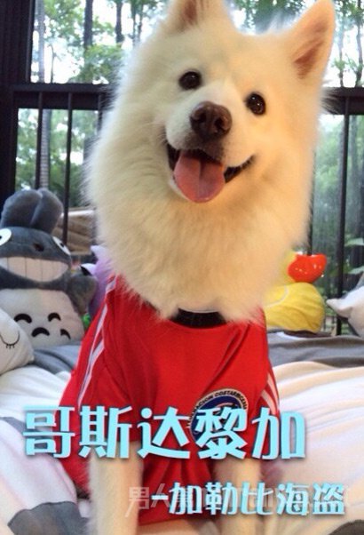 ȮCosplay籭ǿ