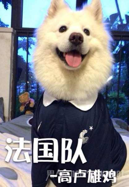 ȮCosplay籭ǿ