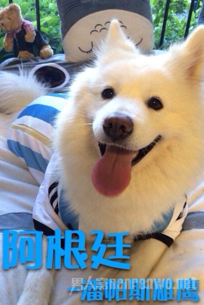 ȮCosplay籭ǿ