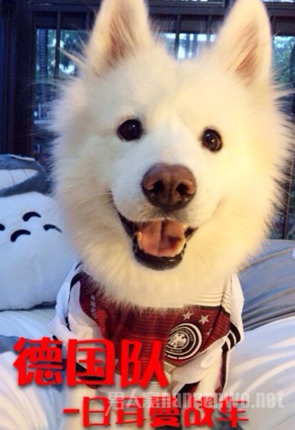 ȮCosplay籭ǿ