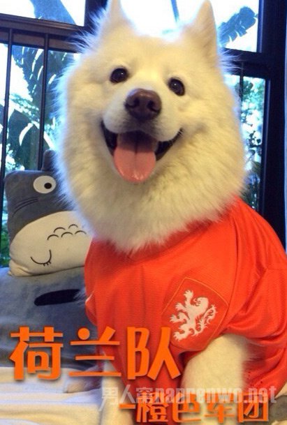 ȮCosplay籭ǿ