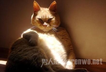渺小的人类