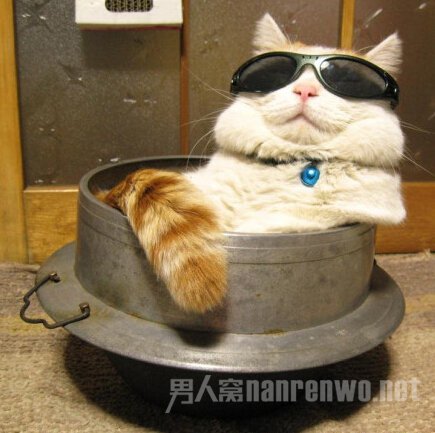 别打扰本宫的日光浴