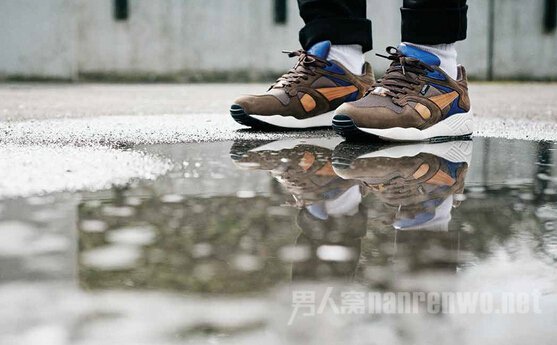 PUMA 2014 ﶬЬ¼