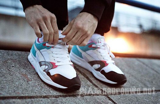 PUMA 2014 ﶬЬ¼