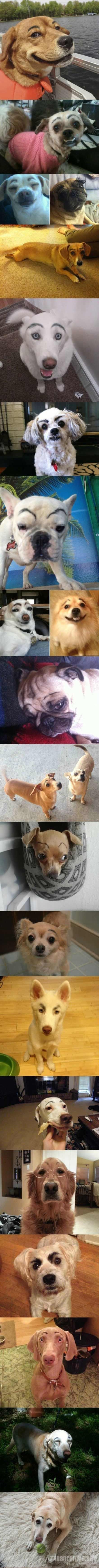 üë֮󣬹