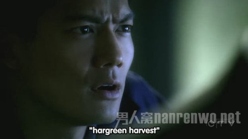 高圣远 电视剧CSI中的华裔小帅哥 高圣远 电视剧CSI中的华裔小帅哥