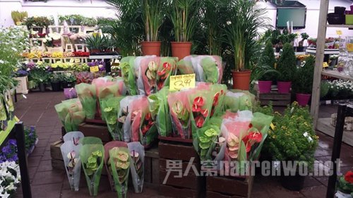 Cor Pan发布的一些在旅途中的照片