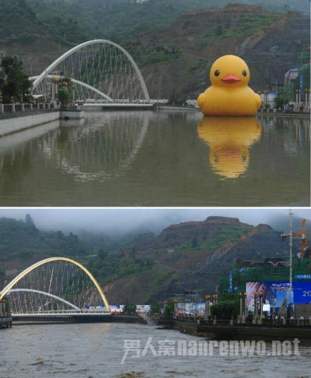 贵阳大黄鸭顺着暴雨逃亡了!全城悬赏通缉