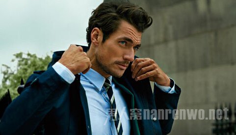 David Gandy