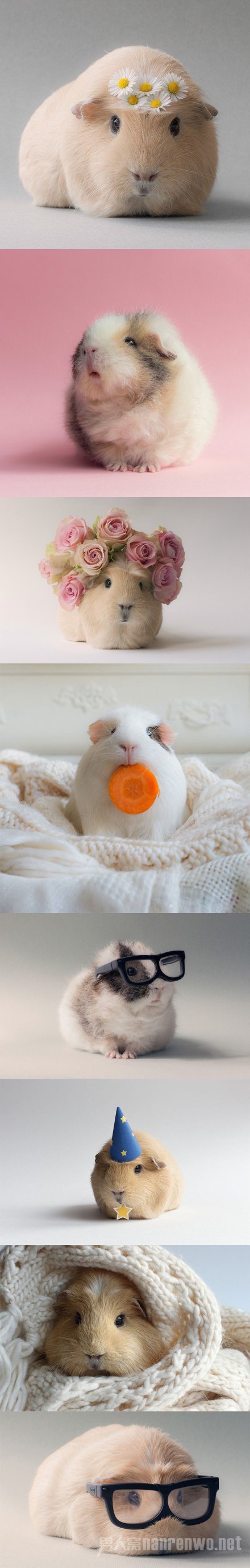 ȵ ˼ҵĳ